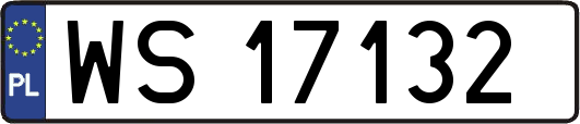 WS17132