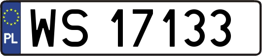 WS17133