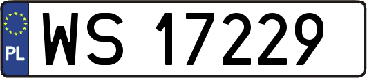 WS17229
