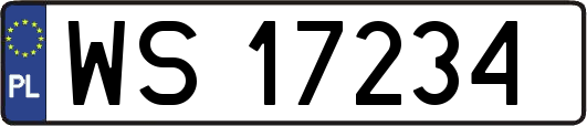 WS17234