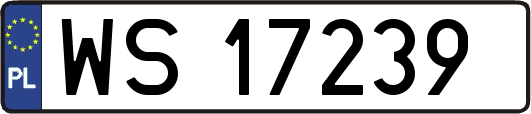 WS17239