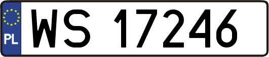 WS17246