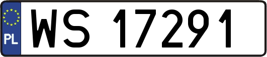WS17291