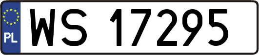 WS17295