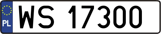WS17300