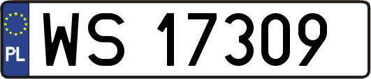 WS17309