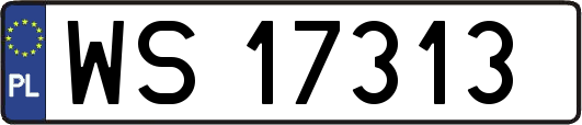 WS17313