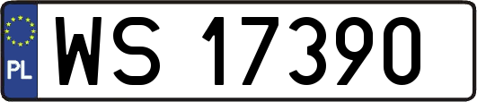 WS17390