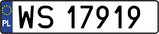 WS17919