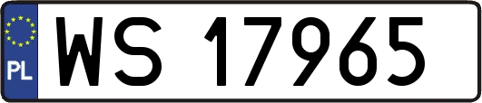 WS17965