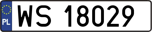 WS18029