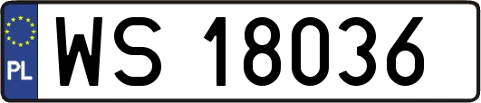 WS18036