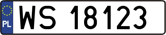 WS18123