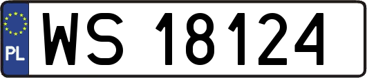 WS18124