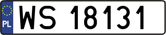 WS18131