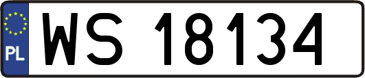 WS18134