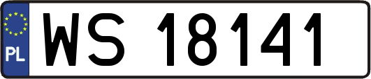 WS18141