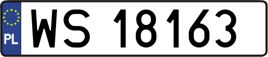WS18163