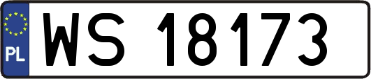 WS18173