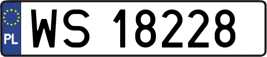 WS18228