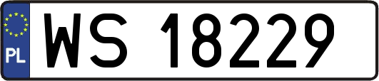 WS18229