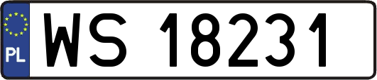 WS18231