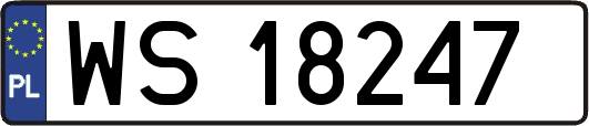 WS18247