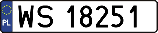WS18251