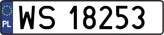 WS18253