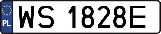 WS1828E