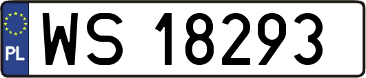WS18293
