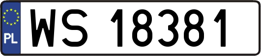 WS18381