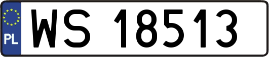WS18513
