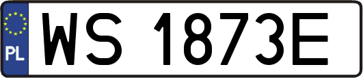WS1873E