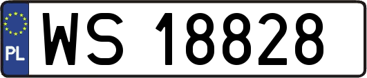 WS18828