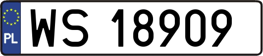 WS18909