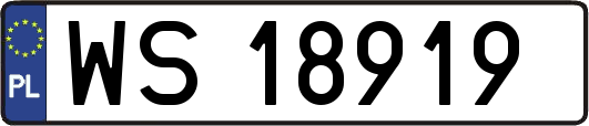 WS18919