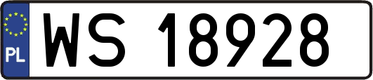 WS18928