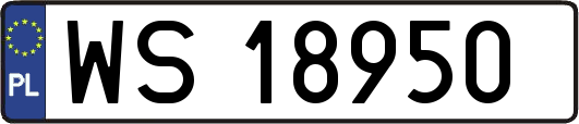 WS18950