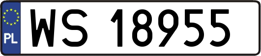 WS18955