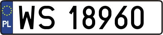 WS18960