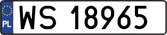 WS18965