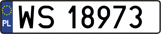 WS18973