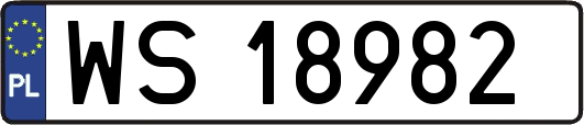 WS18982
