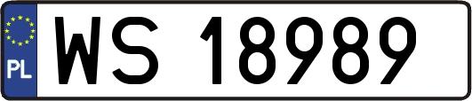 WS18989
