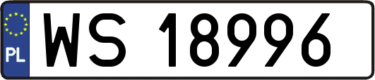 WS18996