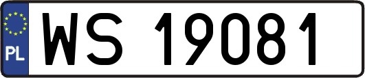 WS19081