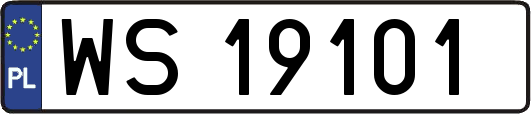 WS19101