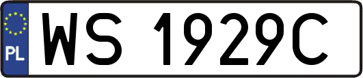WS1929C