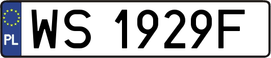 WS1929F